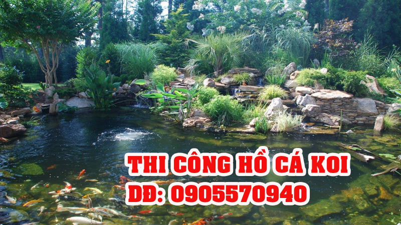 Hồ Cá Koi Đà Nẵng