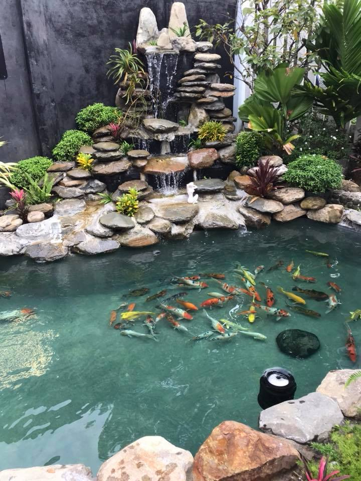 Hoàng Huy Koi Garden